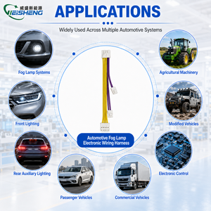 Faisceau de câblage électrique automobile personnalisé pour le contrôle du circuit des feux antibrouillard et la connexion des faisceaux de câblage - Product Image 2