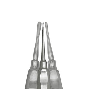 Kit Básico de Extracción Dental, Exodontia, de 6 Piezas, Instrumentos de Cirugía Oral de Acero Inoxidable para Extracción de Dientes - Product Image 2