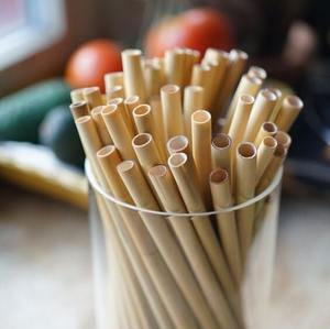 Pailles en bambou réutilisables, pailles à boire en bois naturel, sans produits chimiques, biodégradables, pailles organiques pour la restauration professionnelle - Product Image 5