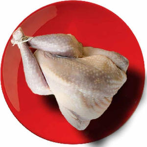 ไก่กินีแช่แข็งคุณภาพพรีเมียม ไก่กินีสดแช่แข็งพร้อมส่งออก ขายส่งและจัดหาจำนวนมาก - Product Image 5