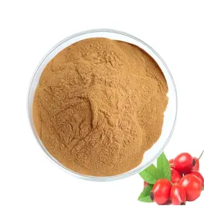 Manufacturer Bulk Pure and Natural Plant Rosehip Extract Powder Rose hip Powder For Sale