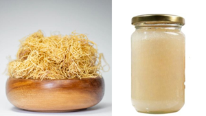 Gel minéral marin EXPAD, 100% mousse de mer biologique fraîche pour l'alimentation et les cosmétiques - Product Image 5