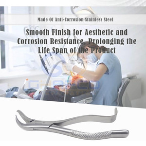 Nuevas Pinzas de Extracción Dental de Acero Inoxidable, Pinzas de Extracción Dental de Venta Caliente - Product Image 2