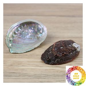 Coquille d'ormeau naturelle pour l'artisanat, la décoration en mosaïque, les projets faits main, découpe sur mesure et conception de produits créatifs - Product Image 1