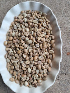 Grade 1 Factory Direct Export Bulk Export 60kg PP <b>Bags</b> Robusta Coffee <b>Beans</b> Natural Processing Method From Viet Nam - Product Image 4