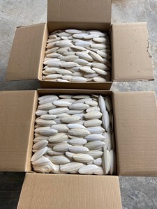 Os de seiche - Poudre d'os de seiche séchés Meilleurs prix du Vietnam/ Mme Lima - Product Image 4