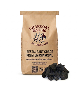 Bolsas de Papel Kraft Impresas Personalizadas de 25 kg Resistentes a la Humedad para Carbón y Briquetas Premium - Product Image 1