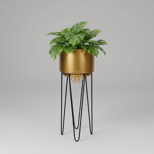 Support à fleurs moderne et écologique en métal plaqué or, avec pieds en forme d'épingle à cheveux noirs thermolaqués, pour plantes d'intérieur, design minimaliste - Product Image 1