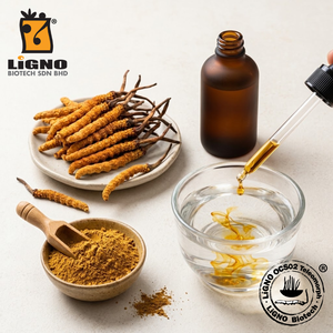 Ophiocordyceps Sinensis LiGNO OCS02 Poudre Active Nutraceutique Énergie Vitalité Certifié Halal Casher Matière Première OEM ODM - Product Image 1