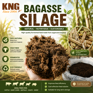 Alimento fermentado de bagazo de caña de azúcar KNG para ganado, vacas lecheras, búfalos, cabras y ovejas, natural, rico en fibra y ecológico. - Product Image 2