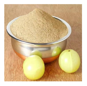 100% Pure High Quality Organic Amla Powder Direct Indian Manufacturers Spray <b>Dried</b> Fruit Extract Pure Organic Amla Powder India - Product Image 3