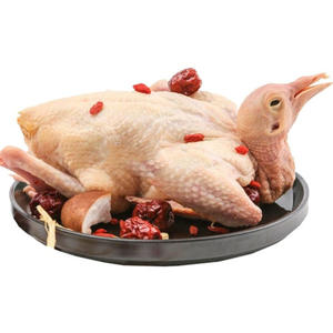Pigeons congelés en gros, viande de pigeon de qualité supérieure pour la vente au détail et la restauration - Product Image 2