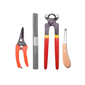 Kit complet de ferrage pour l'entretien équin : outils de coupe de sabots avec marteau, couteau, râpe et coupe-clous - Product Image 3