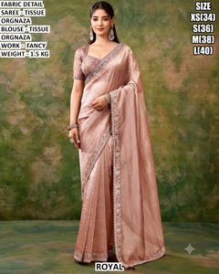 Royal Beige <b>Tissue</b> Organza Saree With Fancy Work Blouse For Women <b>Wedding</b> Wear Regular Fit Floor Length Size XS To L - Product Image 6