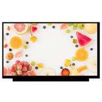 Écran LCD TFT 15,6 pouces large plage de température 1000 nits, résolution FHD 1920x1080, dalle IPS avec interface EDP/LVDS pour ordinateur portable EV