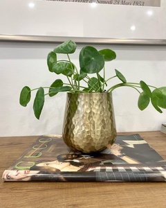 Maceta metálica para decoración del hogar, diseño moderno de maceta metálica, maceta metálica hecha a mano, maceta metálica para interiores. - Product Image 2