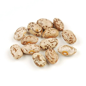 Frijoles Pinto Premium aptos para supermercados y envasado minorista - Product Image 1