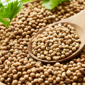 เมล็ดผงยี่หร่าอินเดียแบบขายส่ง 1 กก. จากกูร์กาฏ สำหรับการผลิตข้ามชาติ - Product Image 3