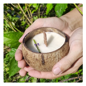 Velas de Cáscara de Coco a Precio de Fábrica, Cera Natural Ecológica, Suministro al por Mayor - Product Image 4