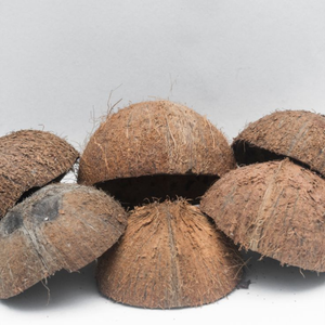 Coques de noix de coco de qualité supérieure, 100% naturelles |   Écrasé dans le Tamil Nadu |   Faible teneur en cendres, haute température |   Durée de conservation de 3 ans |   pour briquettes de charbon de bois - Product Image 5