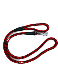 laisse pour chien - Product Image 2