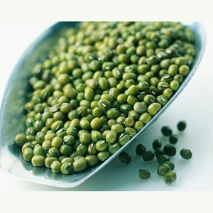 Prix d'usine, qualité supérieure, haricots mungo verts, haricots gram verts, haricots verts - Product Image 2