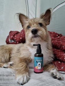 ChikaChikaCool 100ml Spray Dentaire Premium pour Animaux de Compagnie – Hygiène Buccale Facile, Solution Liquide pour une Haleine Fraîche par MimiPet Koreac - Product Image 3