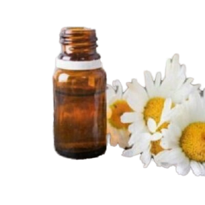 Best quality Chamomile Roman Essential Oil for glowing skin at best price from india supplier Chamomile Roman Essential Oil - Product Image 1