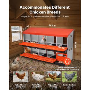Nido per Galline in Metallo Resistente alla Corrosione con 10 Scomparti, Design Inclinato 30-45 Pollici - Product Image 2