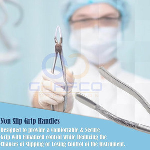 Nuevas Pinzas de Extracción Dental de Acero Inoxidable, Pinzas de Extracción Dental de Venta Caliente - Product Image 4