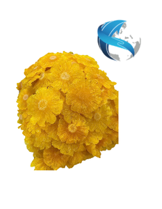 Vietnam Soft Dried Pineapple Top Grade Golden Yellow Slices Tropical Sweet Tangy <b>Chewy</b> Fruit Bulk Wholesale Export - Product Image 3
