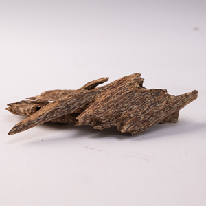 Exportation en vrac de matières premières d'agarwood - Product Image 5