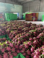 Klaar voor verzending | Beste kwaliteit biologische drakenvrucht wit/rood vlees >350g Vietnam Binh Thuan Lucht/Zee Hoogwaardig 2e kwaliteit vers fruit