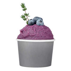 Vasos de Papel Cuadrados de Doble Pared para Helado de 3oz y 8oz al por Mayor con Tapa y Cuchara - Precio Directo de Fábrica Bajo - Product Image 1