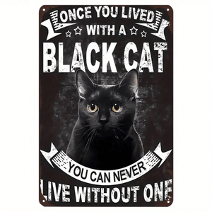 CIFbuy Insegna in Alluminio 8x12 Pollici per Home Bar TikTok per Servizio Ritiro Temu 20.3x30.5cm Arte in Metallo - Product Image 2