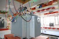 Transformateur de distribution de puissance immergé dans l'huile triphasé TSTY 500 Kva 1000kva 1250kva 10kv 400v