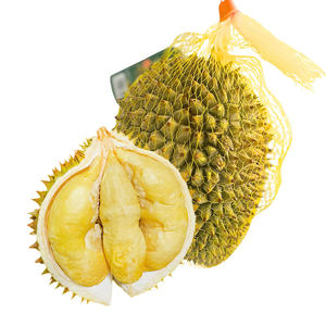 เนื้อทุเรียนเวียดนามแช่แข็ง 100% ธรรมชาติ คุณภาพพรีเมียม - Product Image 3