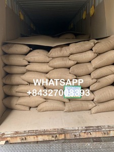 Café Vert Robusta PHALCO de Haute Qualité Grade 1 Tamis 16/18 Vietnam Dak Lak 1000kg Meilleur Prix Prêt à l'Exportation Sac en Jute - Product Image 6