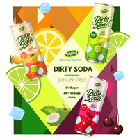 Eau gazeuse aromatisée à la crème soda, extrait de fruit du moine, certifiée BRCGS, faible teneur en sucre, faible en calories, prête à boire, pour boisson personnalisée, échantillon gratuit