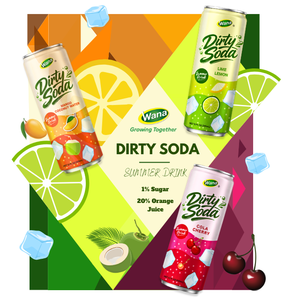 Eau gazeuse aromatisée à la crème soda avec extrait de fruit du moine et certifiée BRCGS pour boisson personnalisée avec échantillon gratuit - Product Image 3