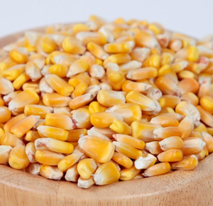 Maíz Amarillo Rojo 100% Seco en Venta, Maíz Amarillo de Alta Nutrición para Alimentación Animal y Consumo Humano, Grado de Exportación Austria - Product Image 4