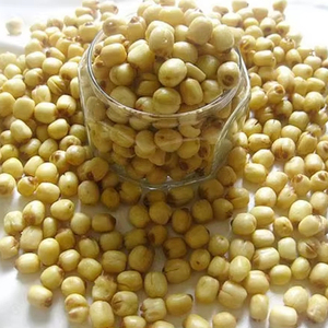 Semillas de Loto Secas Enteras Nutritivas de Gran Calidad a Precio Económico, Semillas de Loto Crudas de Alta Calidad para Té, bebidas que se mezclan con agua - Product Image 1