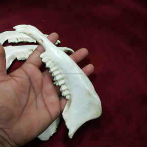 Cuchara para Zapatos de Madera de Mango Pequeña, Estilo Animal, Ecológica, Hecha a Mano, a un Precio Competitivo - Product Image 4