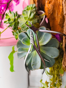 Ensemble de manucure de luxe pour hommes et femmes, utilisation à domicile ou en salon, OEM ODM, logo personnalisé - Product Image 5