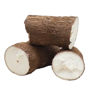 Brown Clean Peel Cassava From Vietnam Farm Competitive Price Cassava Agriculture Product Hairy Peel Cassava