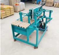 Fruitverpakkingsmachine van papierpulp voor appel- en mangoverpakkingen