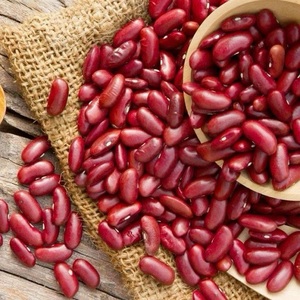 Haricots rouges biologiques au goût naturel et à une teneur riche en protéines, adaptés aux repas quotidiens et à la préparation de plats nutritifs - Product Image 4