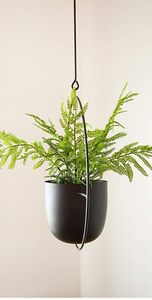 Jardinière suspendue en métal noir avec cadre rond, support moderne pour plantes d'intérieur et d'extérieur - Product Image 4