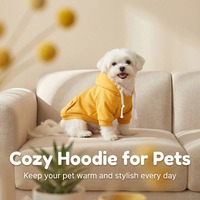 Vente en gros usine : T-shirts à capuche pour chats et vêtements pour chiens, personnalisables avec logo, motif et impression de lettres, confortables et respirants
