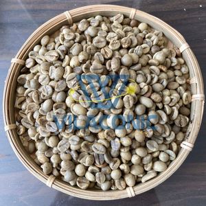 GRANOS DE CAFÉ ROBUSTA DE VIETNAM, CULTIVO 2026, SC13/16/18, LIMPIOS, SIN LAVAR, PULIDOS EN HÚMEDO, CALIDAD DE EXPORTACIÓN, CELESTE NGUYEN VILACONIC, 60 kg - Product Image 4